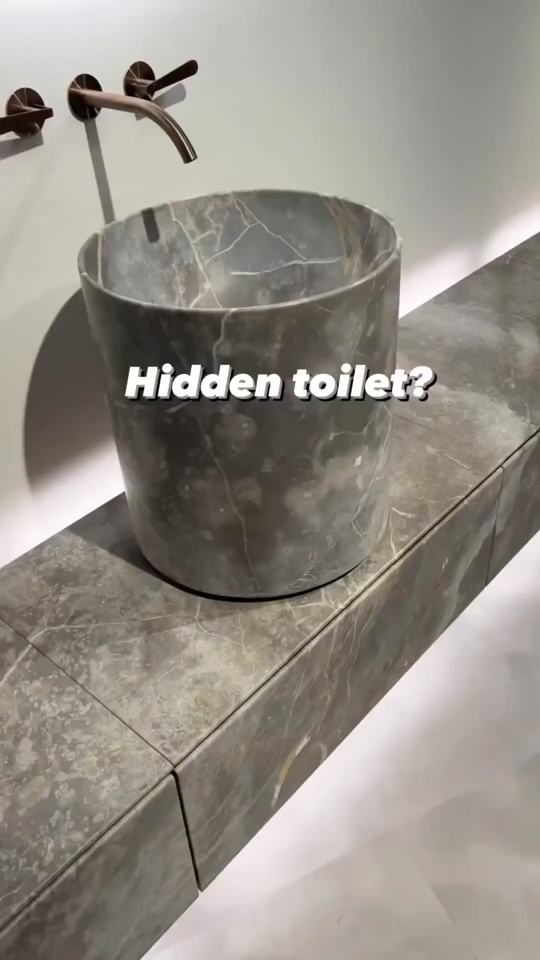 Hidden toilet